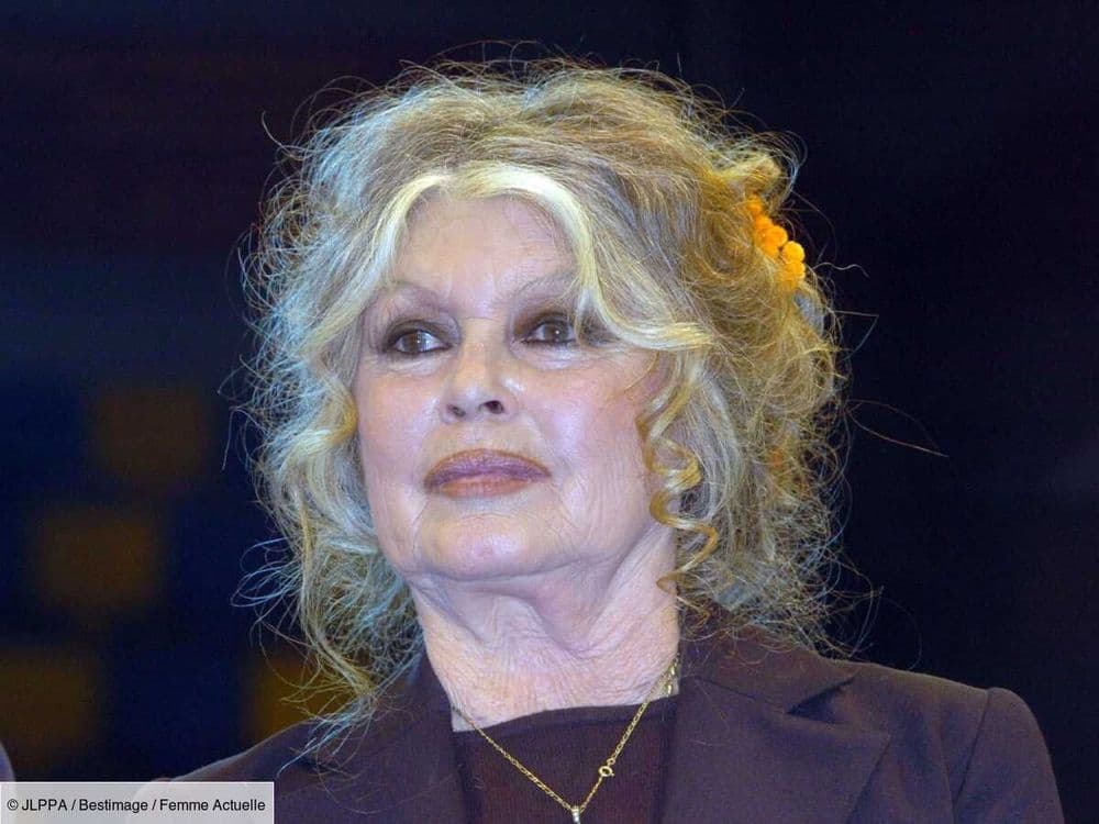 "Ils sont tous partis" : Brigitte Bardot évoque avec émotion ses proches disparus et son ami Alain Delon qui “lui manque énormément”