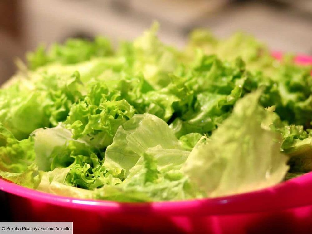 Gaspillage alimentaire : le pourcentage impressionnant de salades vertes qui terminent à la poubelle