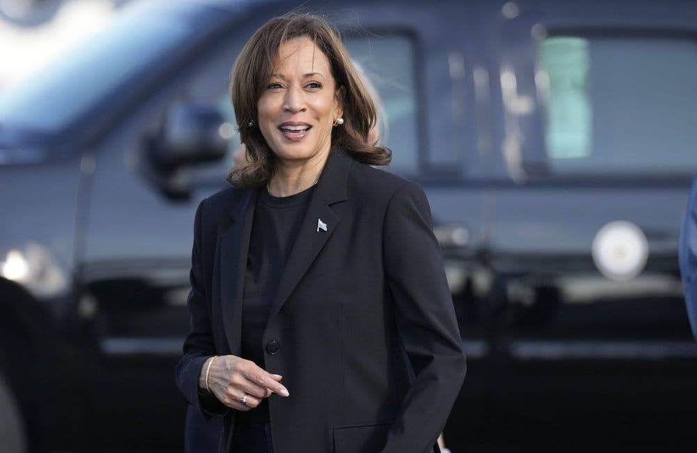 Kamala Harris, qualifiée de « femme à chat », défend sa non-maternité : « La famille peut prendre plusieurs formes »