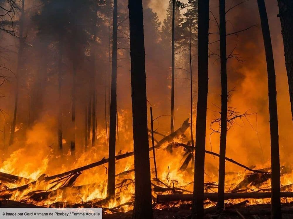 Incendie en cours à Vidauban, dans le Var, 600 hectares ont déjà brûlés
