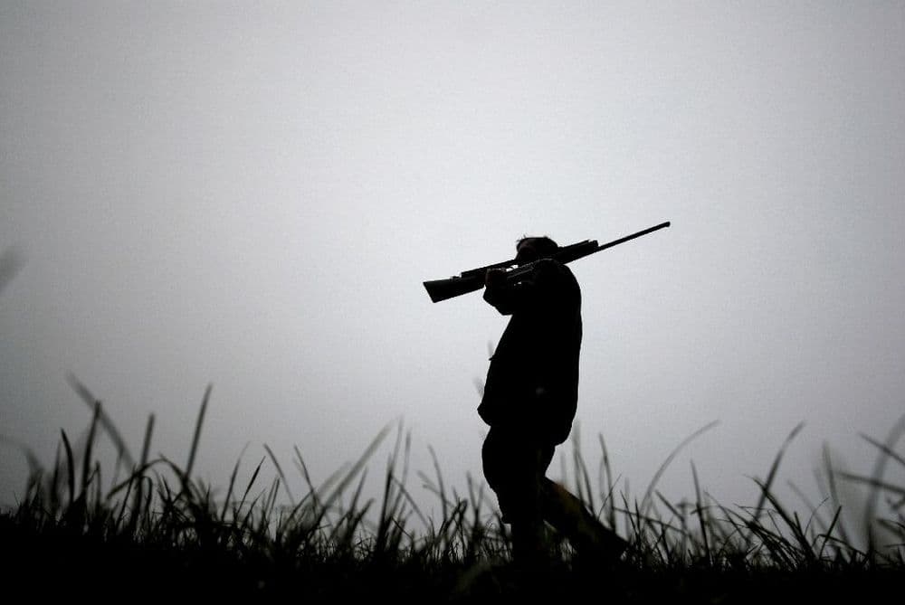L'interdiction de la chasse à la tourterelle des bois prolongée d'un an