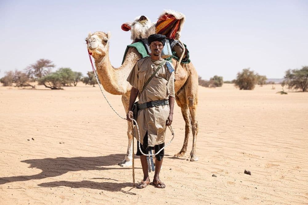 Les méharistes, sentinelles du désert mauritanien face au risque jihadiste