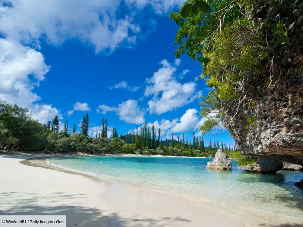 L'eau est turquoise, le sable est blanc... Alors pourquoi l'île des Pins meurt à petit feu?
