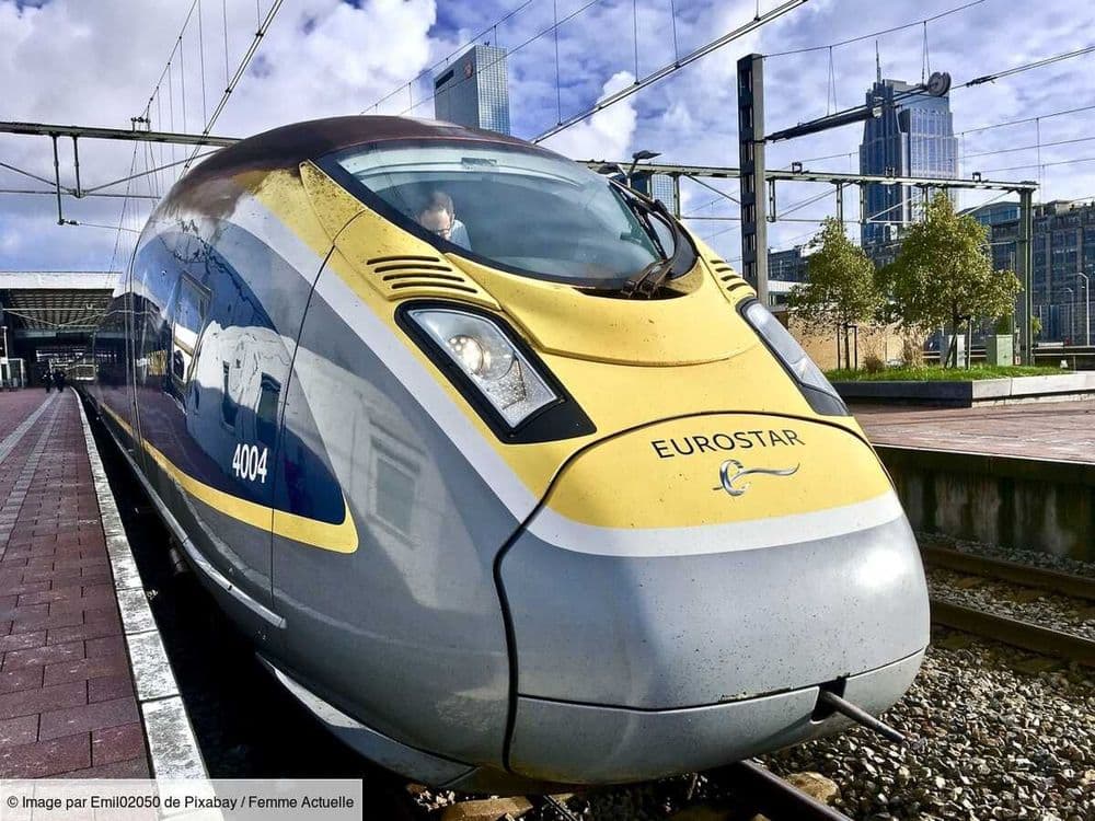 Découvrez les nouveaux menus 3 étoiles préparés par des chefs qui seront bientôt servis dans l'Eurostar