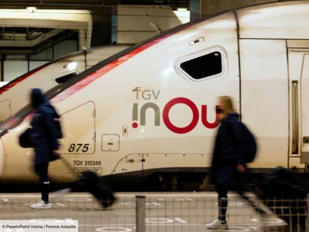 Vacances d'été : les billets de trains mis en vente ce mercredi par la SNCF