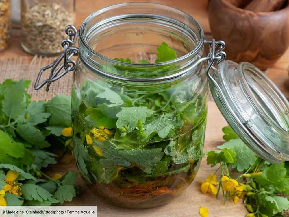 Comment conserver des herbes fraîches ? L'astuce toute bête pour les garder jusqu'à 3 semaines