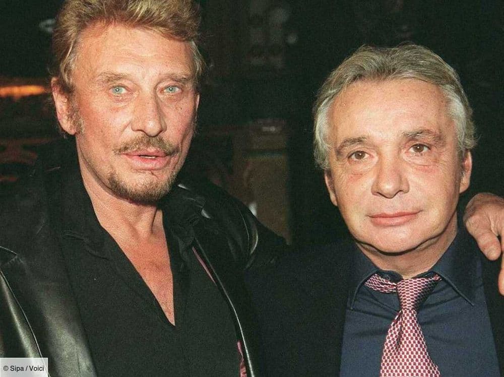 Michel Sardou et Johnny Hallyday : cet homme qui était persuadé que les deux artistes couchaient ensemble