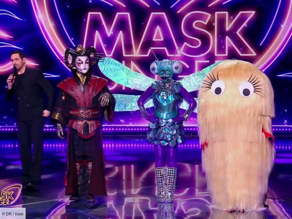 Mask Singer : un célèbre humoriste et... un personnage de dessin animé  démasqués ce vendredi 24 mai