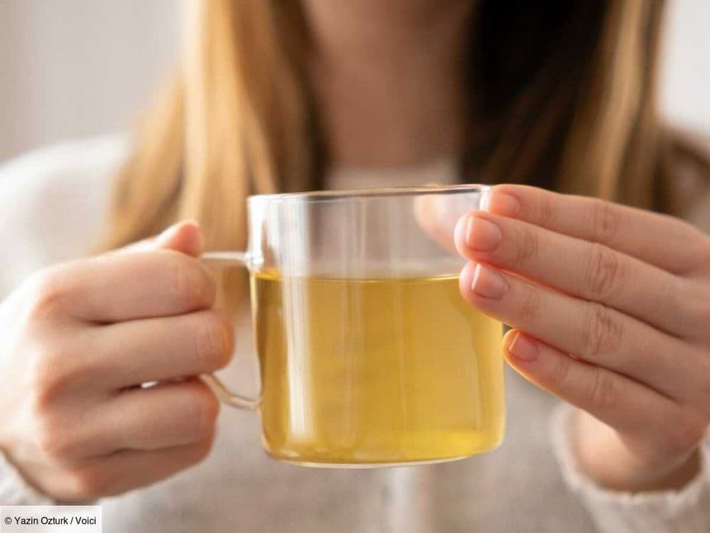 Tisane de camomille : selon une herboriste, cette boisson a des contre-indications encore méconnues