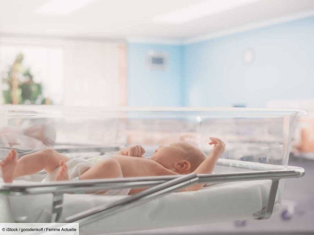 "C'est la baisse la plus forte depuis la fin du baby-boom", ce qu'il faut savoir sur la diminution inédite des naissances en 2023