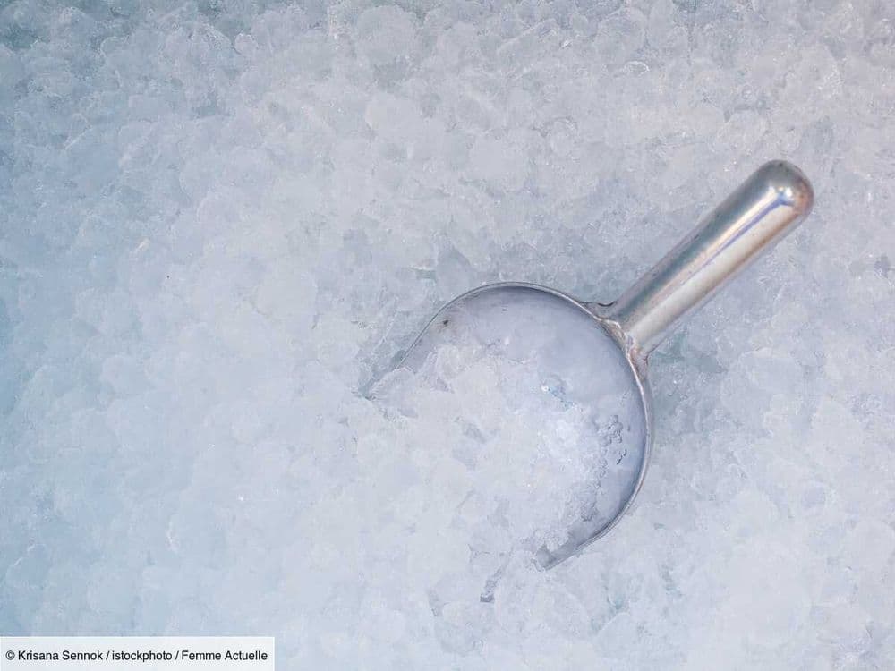 Il fallait y penser ! L'astuce vraiment futée pour faire de la glace pilée en 2 temps 3 mouvements