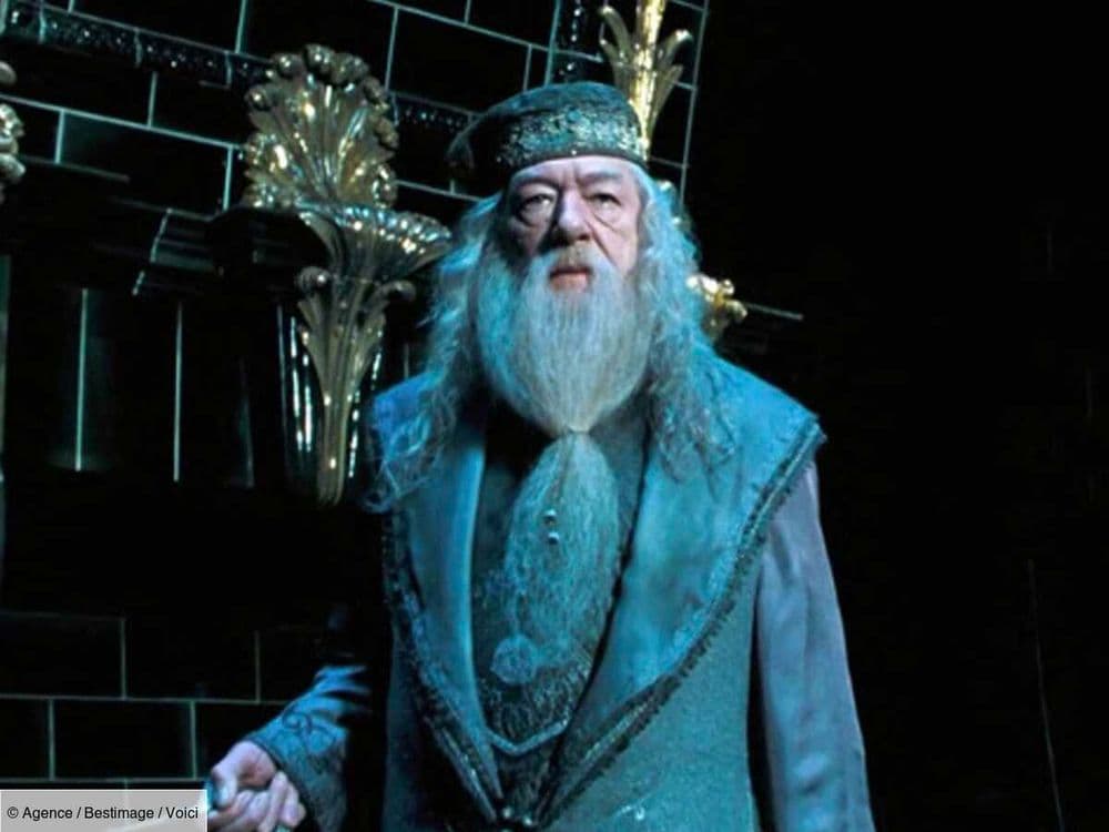 Harry Potter adapté en série : on sait quel acteur devrait jouer Dumbledore !