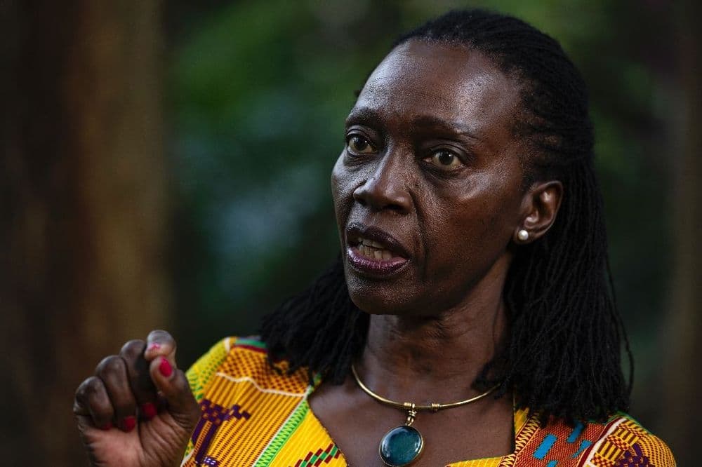Une politicienne et avocate kényane expulsée de Tanzanie avant l'audition d'un opposant