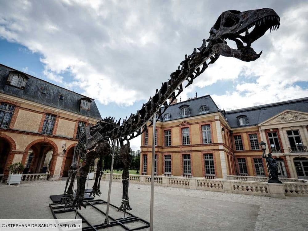 Le plus grand dinosaure jamais mis aux enchères exposé dans un château des Yvelines