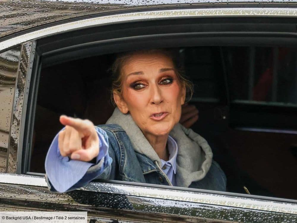 "Quelle soirée inoubliable !" : Céline Dion crée la surprise lors d'un concert et est ovationnée par le public