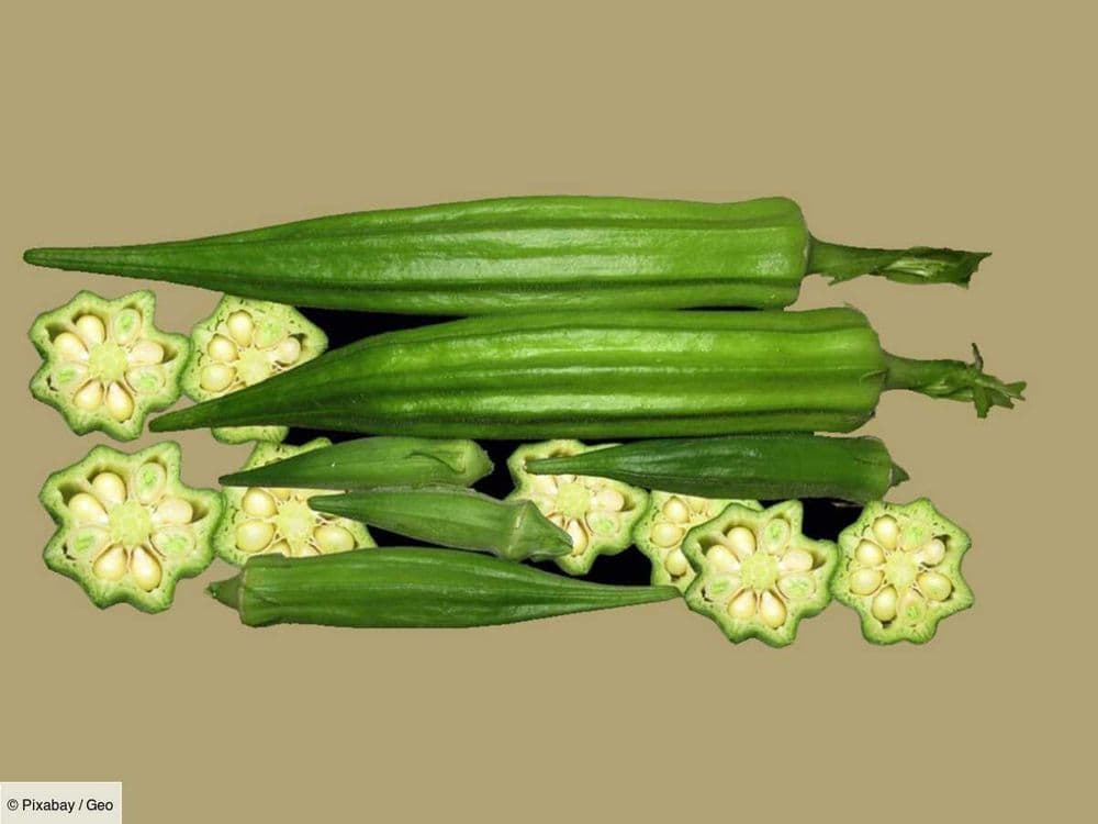 L'odyssée du gombo, une plante bonne pour la santé