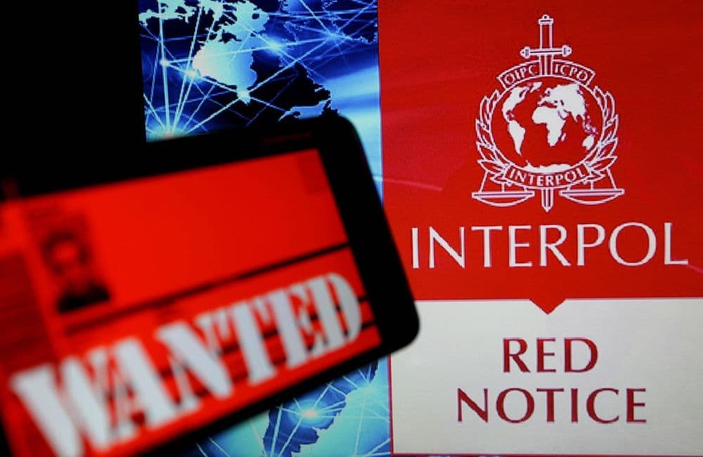 Cold-cases : ces 7 corps de femmes qu'Interpol cherche à identifier en France