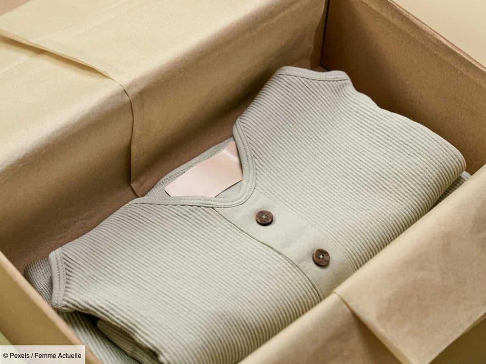 Shein crée des milliers de bots pour défendre la fast-fashion sur les réseaux sociaux