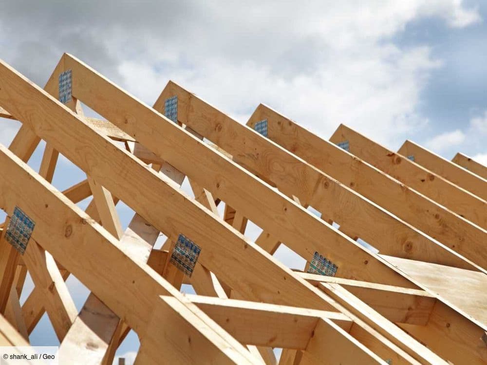 Un nouveau matériau en bois plus résistant que de l'acier, grâce à un traitement moléculaire