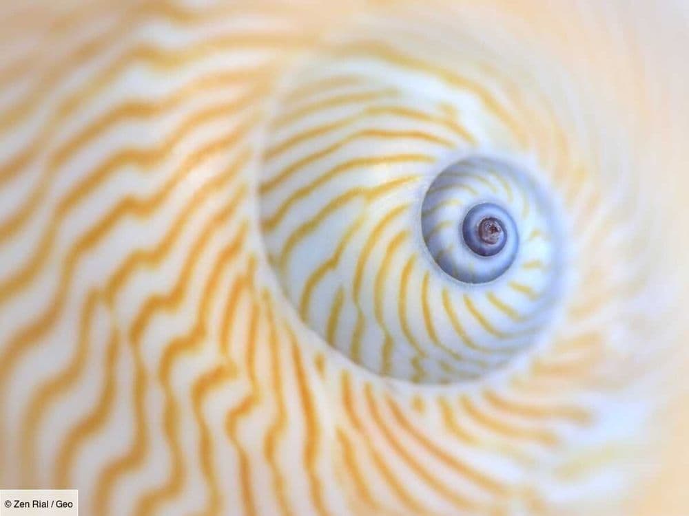 Une nouvelle théorie fascinante sur l'entropie nous invite à voir l'univers à travers les spirales