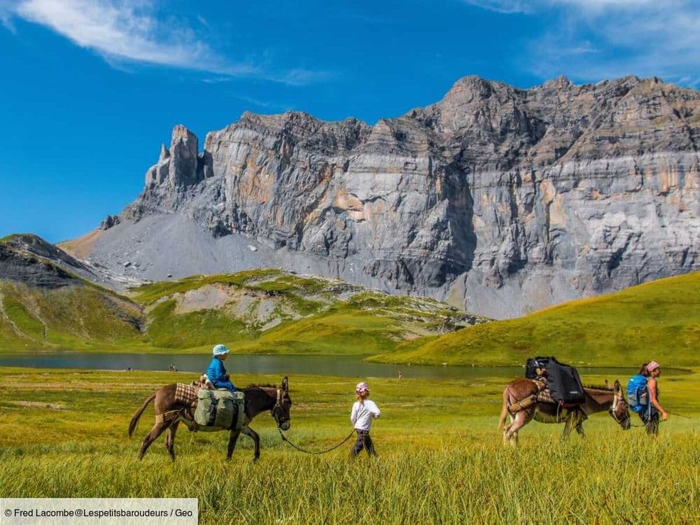 Partir en randonnée avec un âne, l’expérience inoubliable d’une famille dans les Alpes