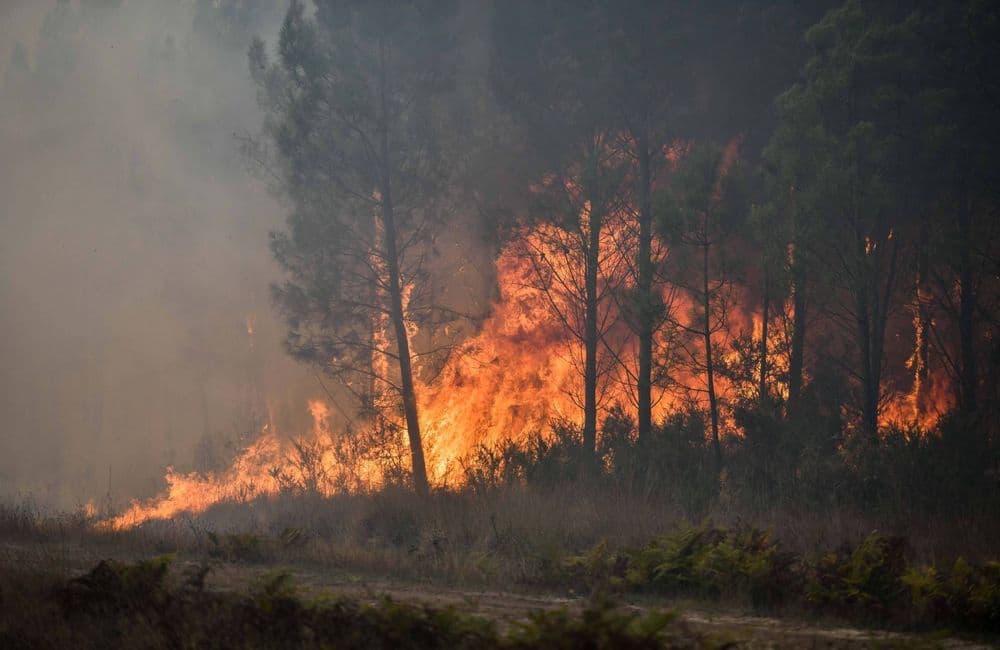 Un barbecue mal éteint provoque un incendie sur 400 hectares dans l’Aude
