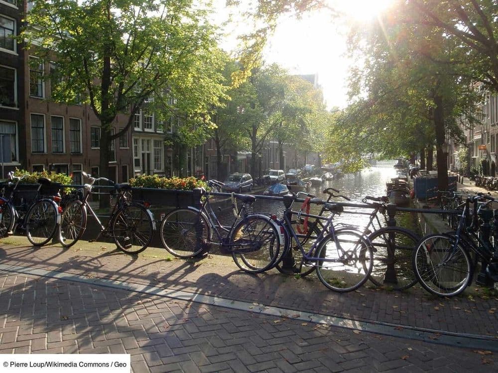Voyager jusqu'aux Pays-Bas en train avec un vélo: nos astuces pour un trajet sans encombre
