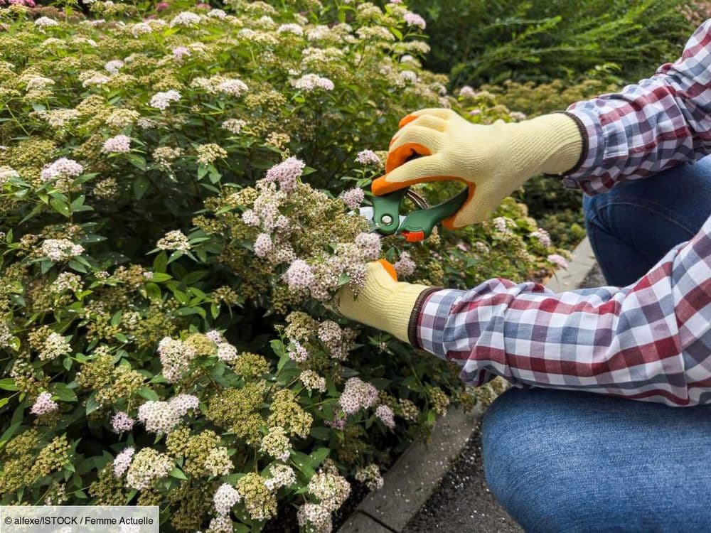 Ce geste que l’on fait souvent au jardin est totalement interdit en ce moment