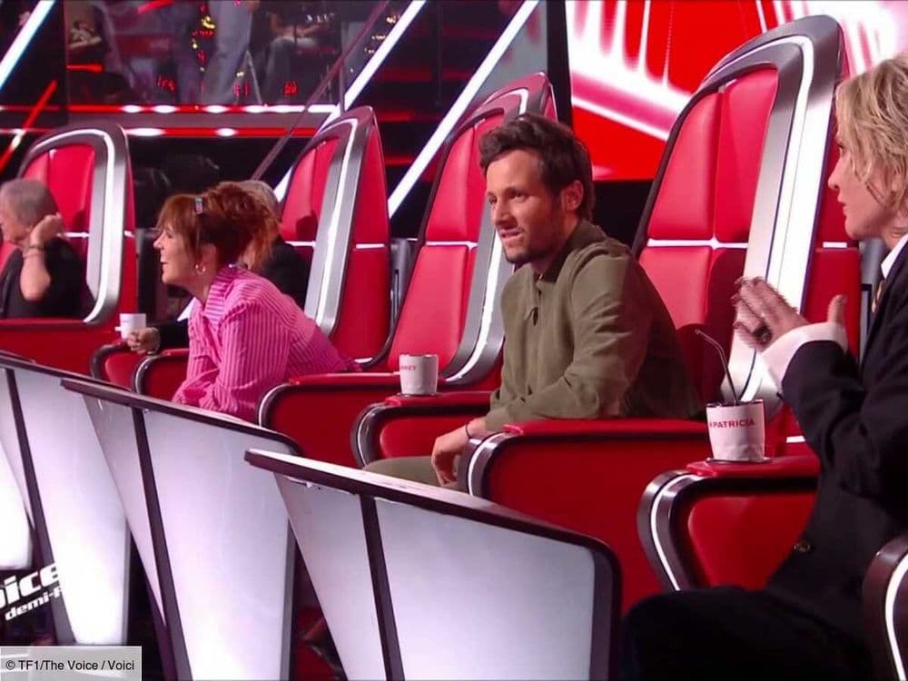 The Voice 2025 : découvrez la liste complète des finalistes de cette 14e saison !