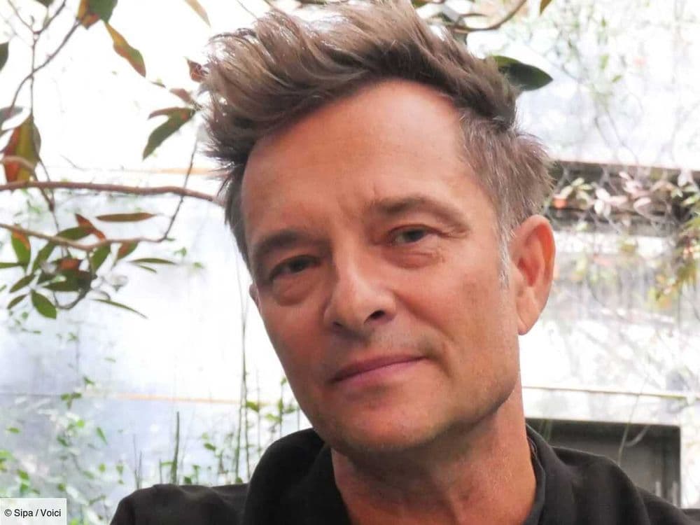 David Hallyday : une fan a été arnaquée de 40 000 euros en pensant bientôt... se marier avec le chanteur ! (ZAPTV)