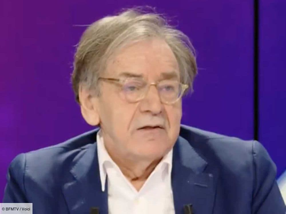 Alain Finkielkraut raillé sur la Toile après s'être agacé d'avoir été interrompu sur BFMTV pour annoncer la mort du petit Emile (ZAPTV)