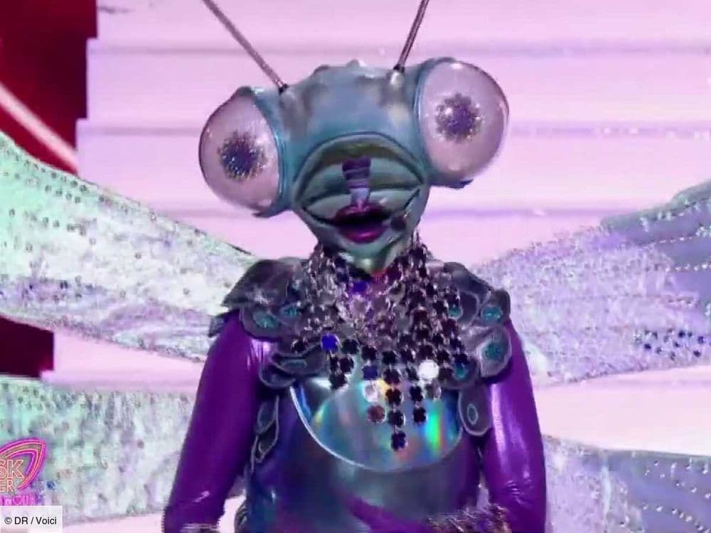 Mask Singer : la Libellule démasquée, découvrez qui se cachait sous le costume