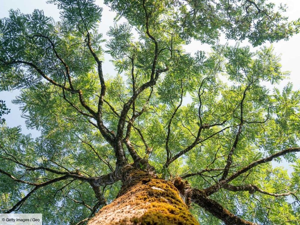 "Jour du dépassement": au 1er août, nous avons déjà épuisé les ressources annuelles de la Terre