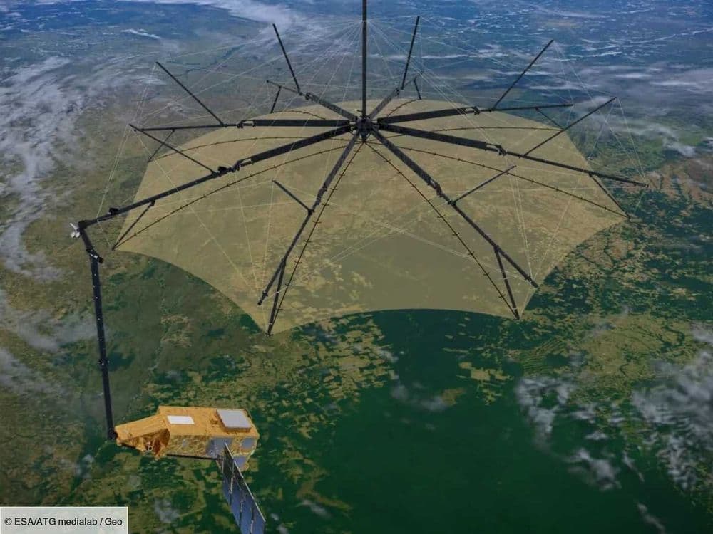 "Peser" les forêts: l'inconcevable mission du nouveau satellite Biomass