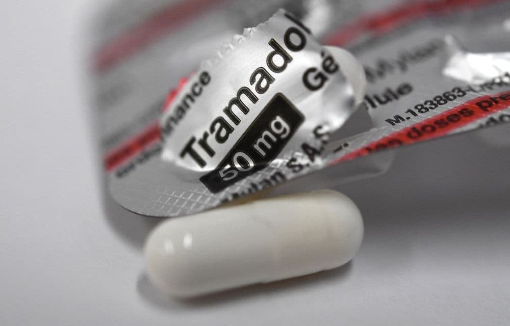 Tramadol et codéine: la France en fait-elle trop contre les opioïdes ?