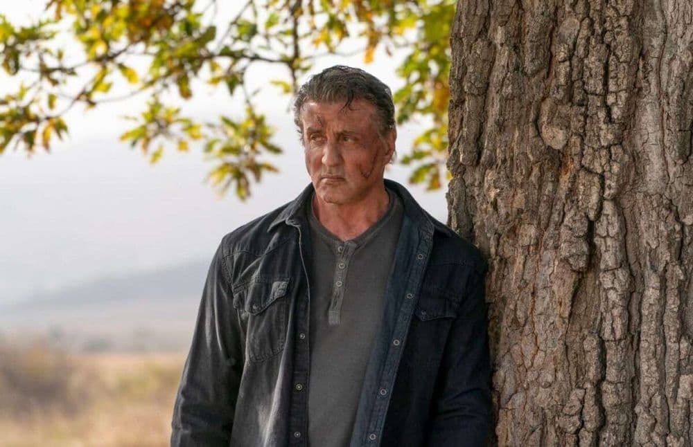 Un film sur les origines de Rambo en préparation : Sylvester Stallone sera-t-il de la partie ?
