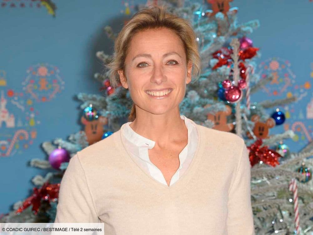 "C'est un héros" : Anne-Sophie Lapix impressionnée par le "sang-froid" de son fils lors d'une tentative de cambriolage à leur domicile