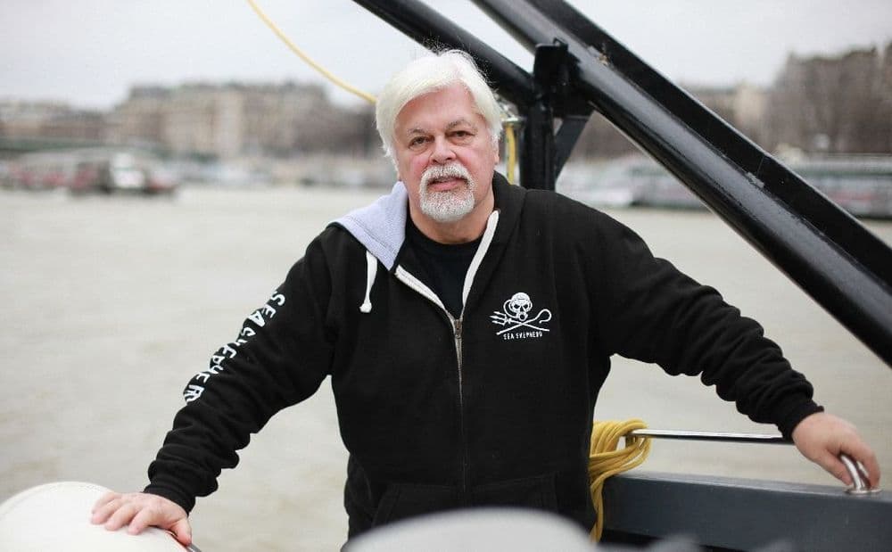 De sa prison au Groenland, le défenseur des baleines Paul Watson continue le combat
