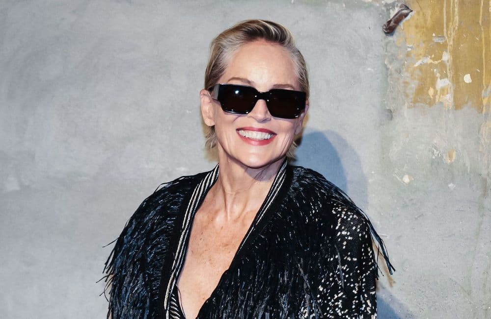 Julien Doré surprend Sharon Stone avec un beau cadeau