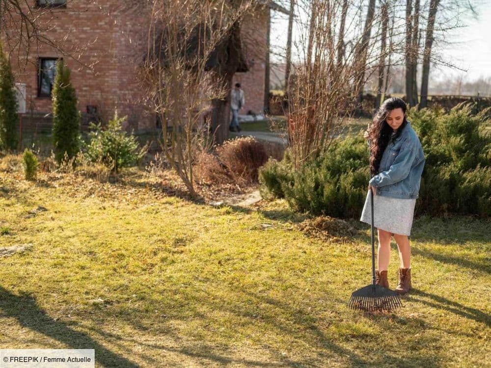 5 gestes à adopter pour entretenir son gazon en hiver et le préparer pour qu’il soit bien vert au printemps