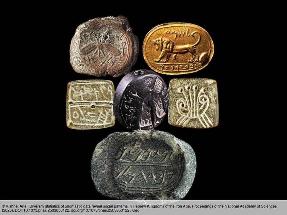 Des jarres antiques gravées d'un millier de noms livrent leurs secrets