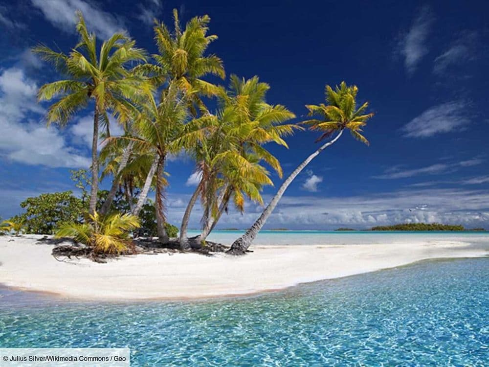 Trois activités pour visiter l'atoll de Rangiroa en Polynésie française