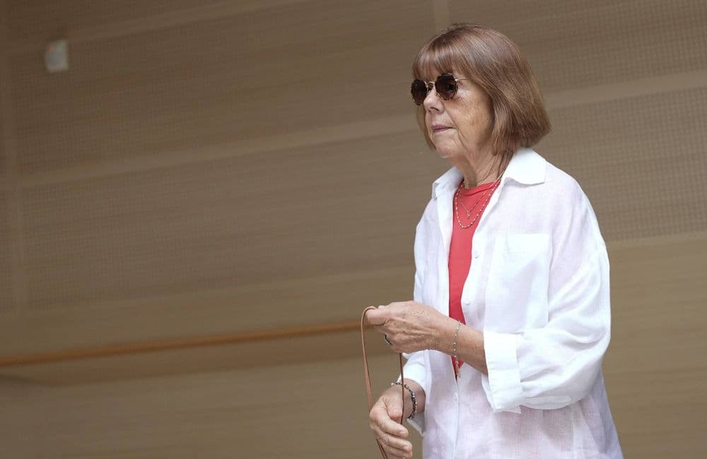 Procès des viols de Mazan : seulement sept des cinquante accusés font appel