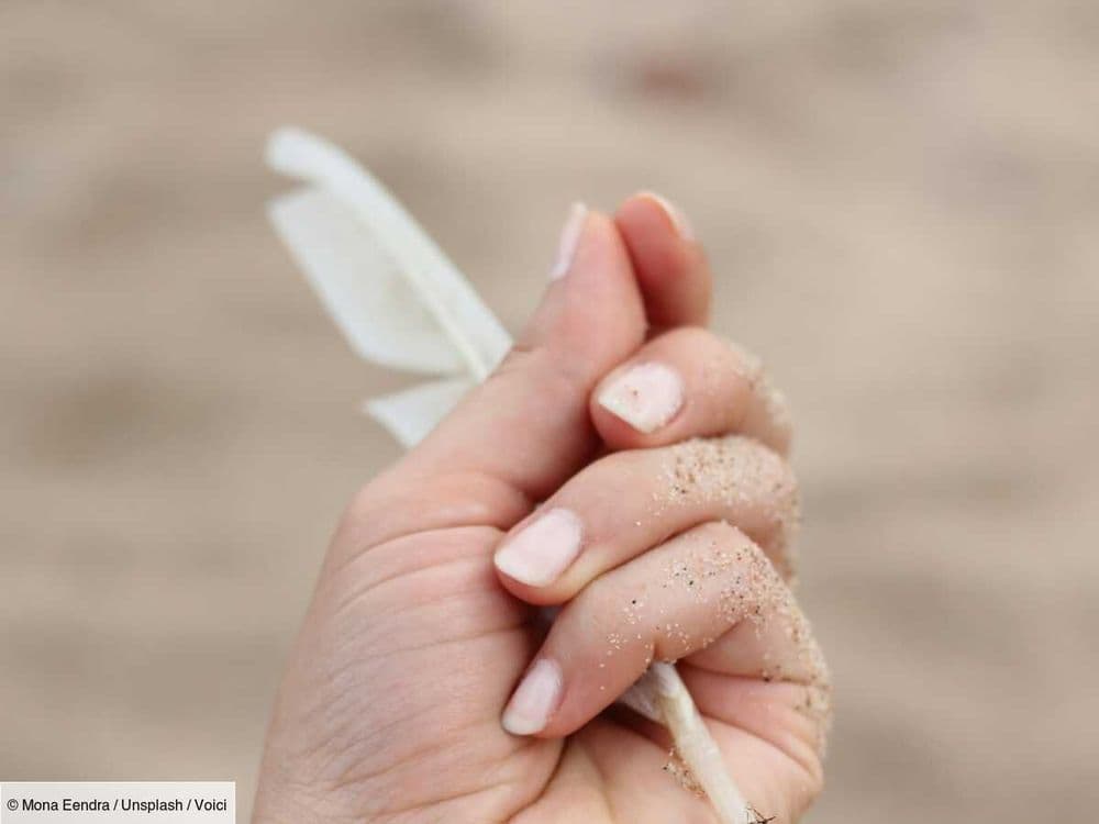 Esotérisme et univers : que signifie la plume blanche et quel message nous envoie-t-elle ?