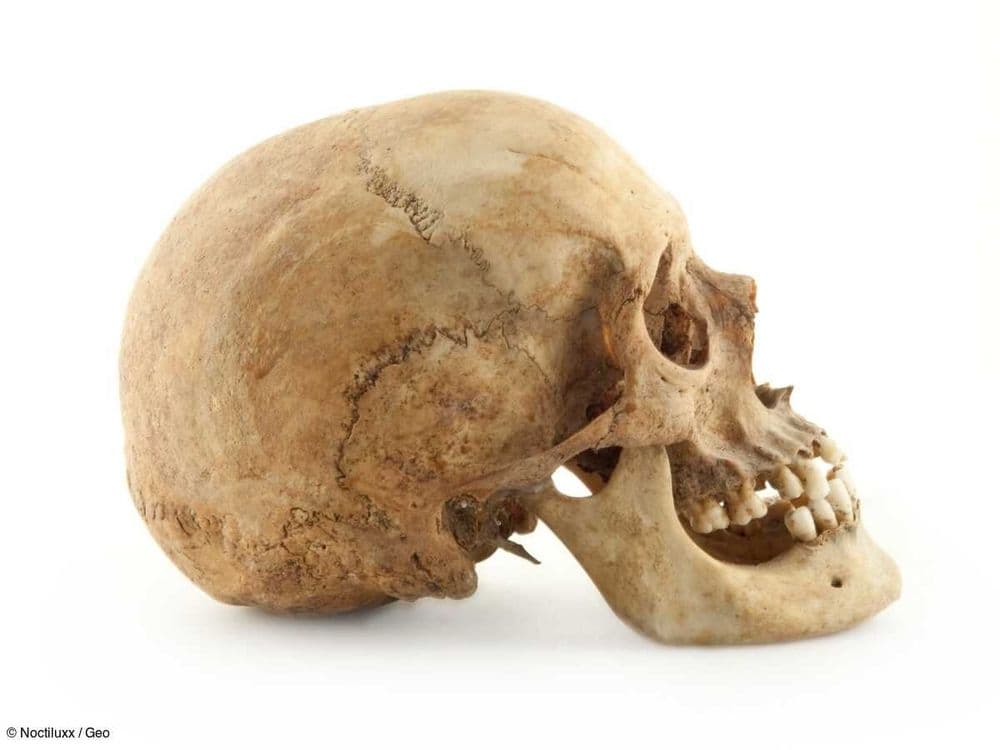 20% du patrimoine génétique de l'être humain moderne serait hérité d'une mystérieuse population ancestrale