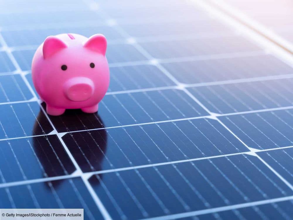 Panneaux solaires : est-ce si rentable ?
