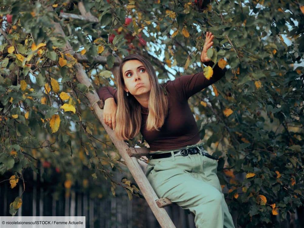Puis-je couper les branches de l'arbre de mon voisin qui dépassent chez moi ?