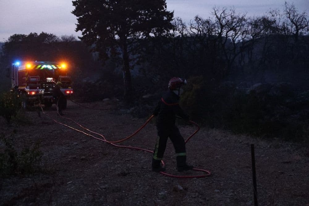 L'Occitanie en proie aux flammes dans l'Hérault et les Pyrénées-Orientales