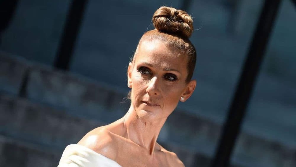 Céline Dion : elle perd un être proche et lui rend hommage...