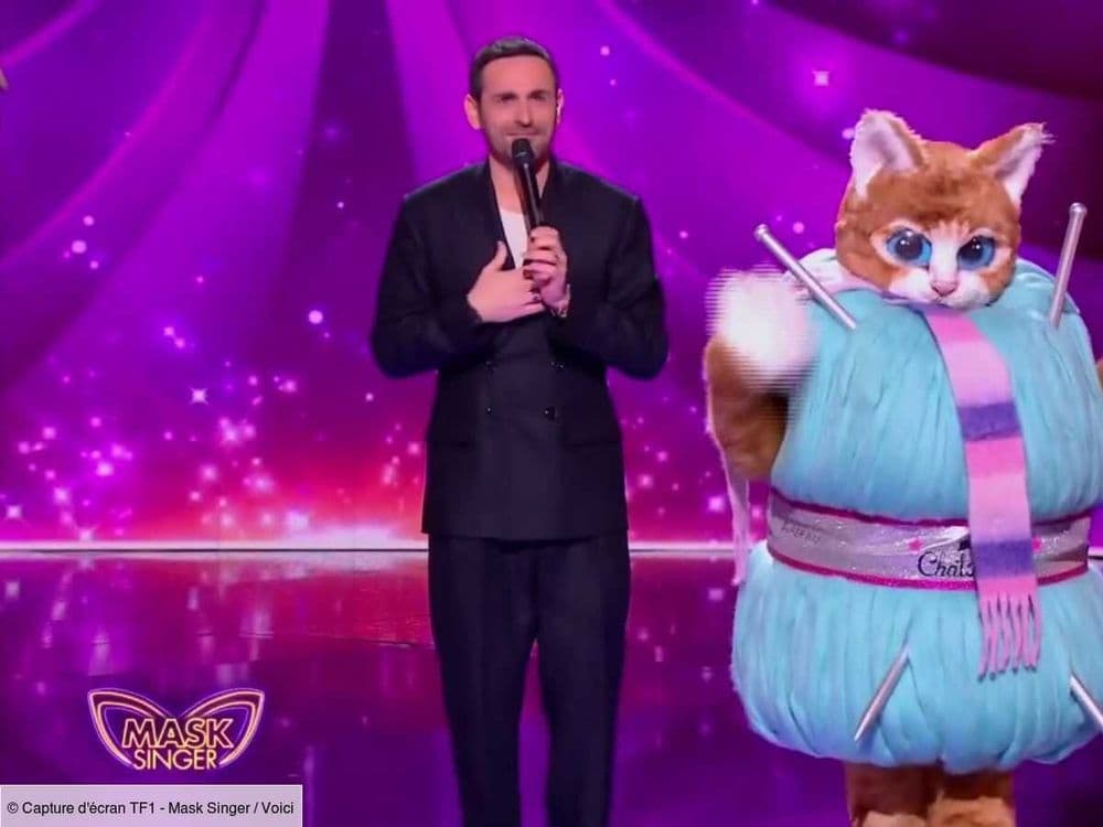 Mask Singer : qui se cache derrière Le Chaton, La Girafe ou Le Brocoli ? Découvrez les pronostics des internautes